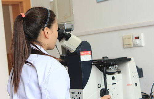 研究開(kāi)發(fā)與技術(shù)咨詢(xún) 協(xié)同驅(qū)動(dòng)創(chuàng)新與商業(yè)價(jià)值